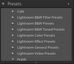 Presets Section in Lightroom Develop